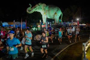 BIB: 
                            <button type="button" onclick="openModal(26552314)" class="btn btn-primary btn-sm float-right btn-popup" data-toggle="modal" data-target=".modal-high-quality">
                        <i class="fas fa-shopping-cart"></i> Add to Cart
                    </button>
                                            <button type="button" onclick="isThisMe(26552314, true)" class="btn btn-success btn-sm float-right btn-popup btn-isme hidden" data-toggle="tooltip" data-placement="bottom" title="นี่คือรูปของคุณใช่ไหม คลิกที่นี่เพื่อเอาเข้าอัลบั้ม">
                        <i class="fas fa-plus"></i> Add to album
                    </button>
                    <button type="button" onclick="isThisMe(26552314, false)" class="btn btn-warning btn-sm float-right btn-popup btn-isnotme hidden">
                        <i class="fas fa-ban"></i> Remove from album
                    </button>